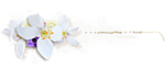 njn