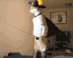 the_definitive_collection_of_cat_32