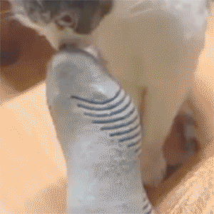 _yapfiles.ru_7_yapfiles.ru
