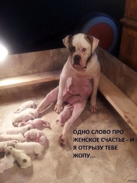 xUVtO4hbFRg