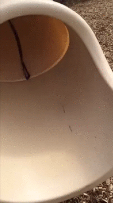 607424cb47bf3ce5e5cb1c625ed