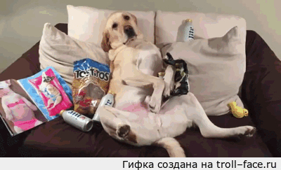 troll-face.ru_6d69ef