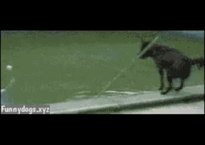 1438932748_225077309