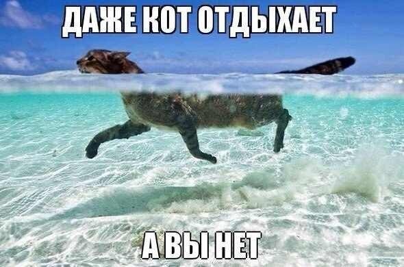 Vg2b5GHr0Lo