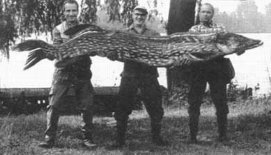 pike27