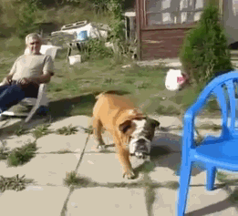 Like a boss