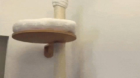 1437479586_1186011426