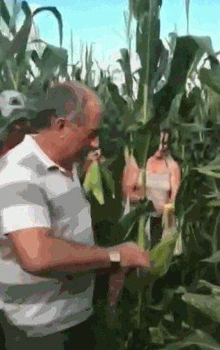 59cc108d82213bfb2812cfebce6