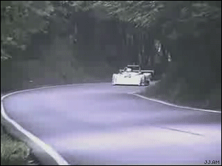 deer gets hit by race car