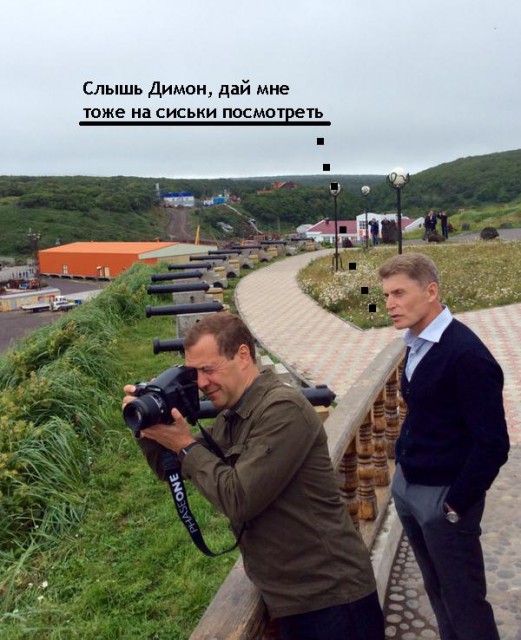 Жаба на Медведева