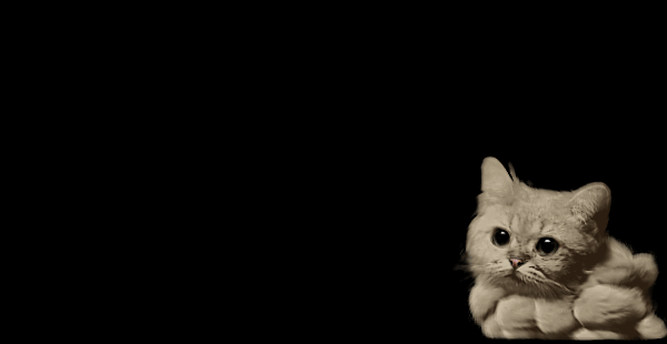 кот