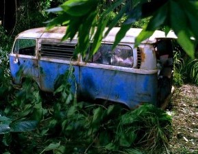 Dharma_Van