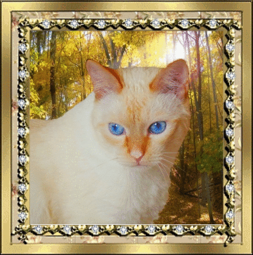Фредик