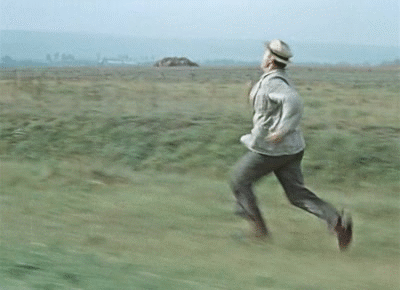 1370947010_1171134495