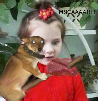 собачко