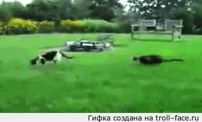 8a68a5585a66a9f1a12f063e435