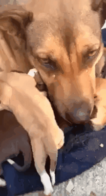 0_1861e2_ce7db6b5_orig