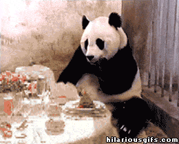 1_daily-gifs-mix-586-23