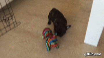 4a72ef0a54971297e81746425b733e9e