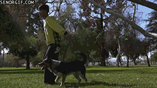 doc14267631_306348954