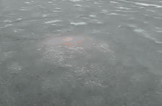 3a319bf66a56f78f8df9aae3eb2