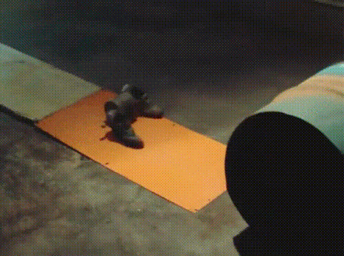 Лунная походка