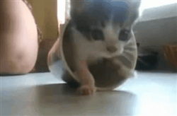 3bd9385883a30f14a8a94bfeba9daaf1