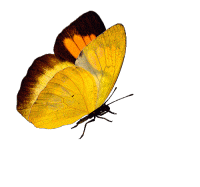 200