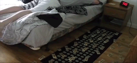 50b4bb55d47988a5315e75269da