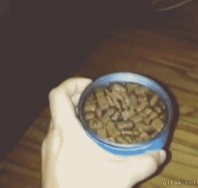 gifs_05