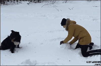 gifs_06