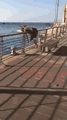 _Slow Mo Railing Fail