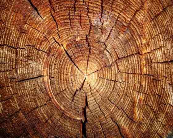 wood