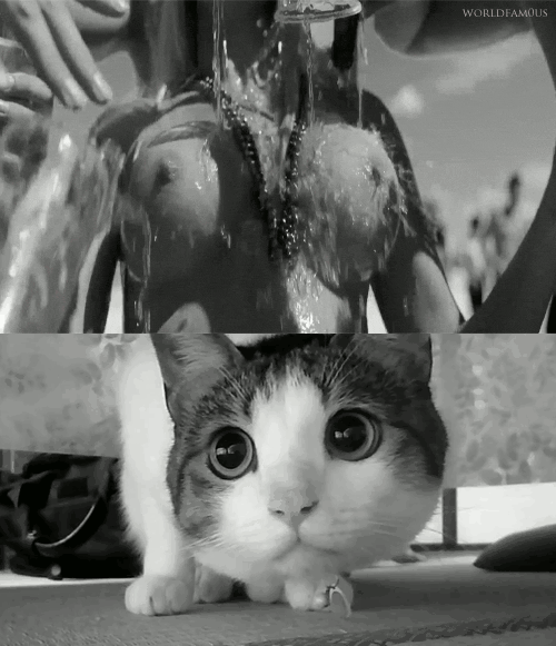 1377885539_327992004 (1)