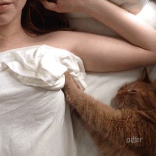 That Lucky Cat !! - Imgur