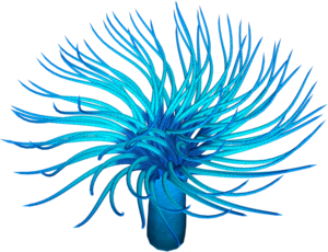 0_12d7e2_39afe53a_M