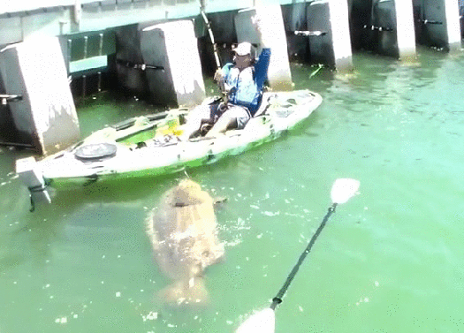 4b10ea1411a256caf753ddfa99c