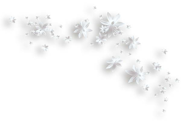 White_Flowers_Decorative_PNG_Clipart