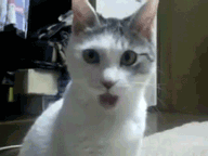 1355777282_28693-152348-f144d709785e729dc0dfb359e208b13e