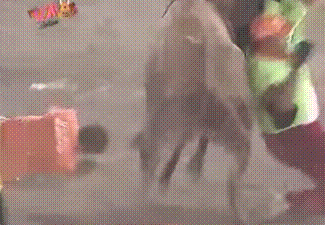 Beef flavoured teabag. - Imgur