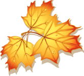 125184919__8e57a_80ac71f0_orig