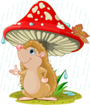 ezhik-muhomor-dozhdik-300x300