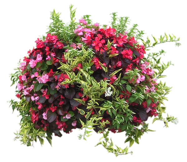 uh0gwdDGRLUSC1EwsXUag9r9SFE