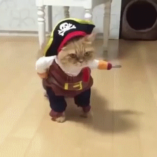 пират