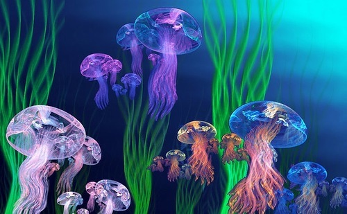 0_148ff2_73259a26_L_zps87a3ea04