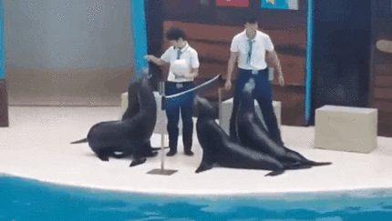 1445285826_1064004690