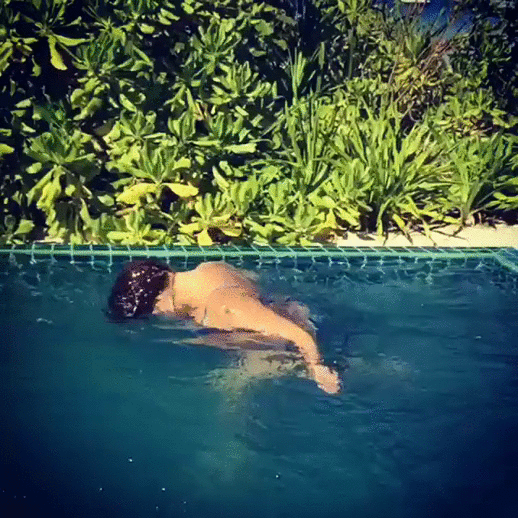 george-lamberis-evanston-sunleafwebinstagram_7vElV