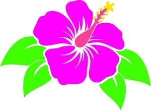 hibiscus_flower_0071-0910-0216-0106_SMU8