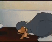 Бедный кот
