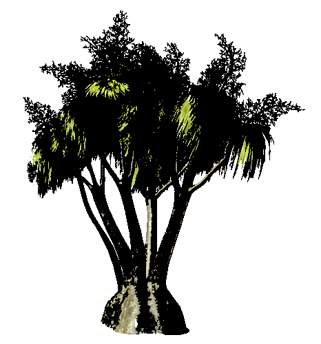 0_c3ace_ac3f09b5_L[999